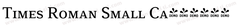 Times Roman Small Ca字体转换